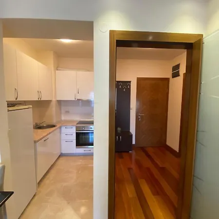 Center Apartment Podgorica